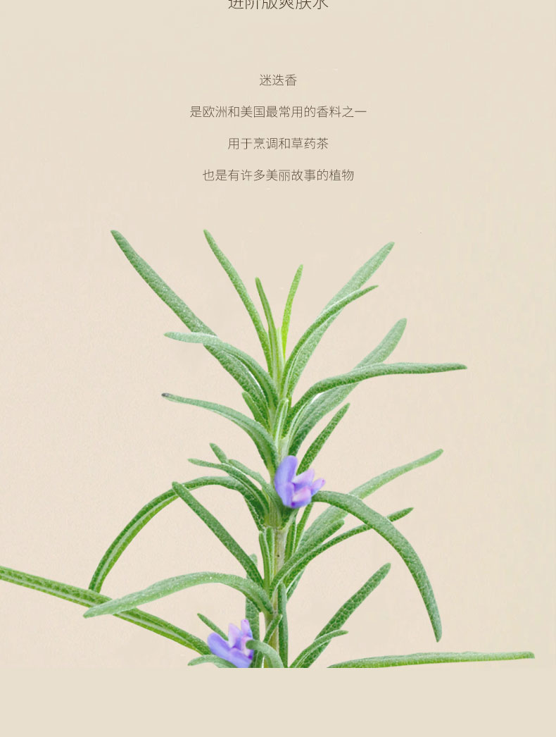 详情页_03.jpg