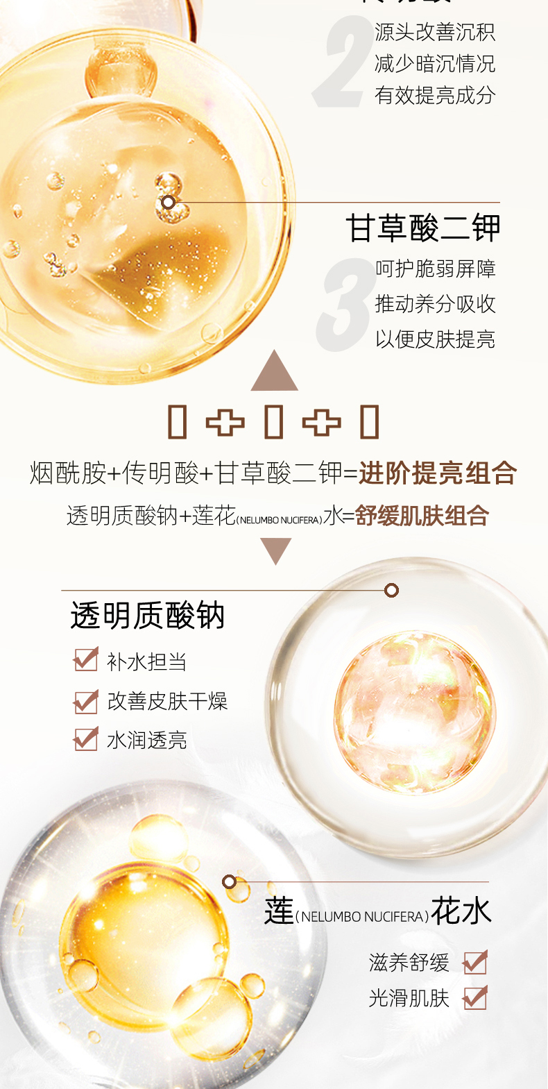 烟酰胺棕色---副本-拷贝_03.jpg