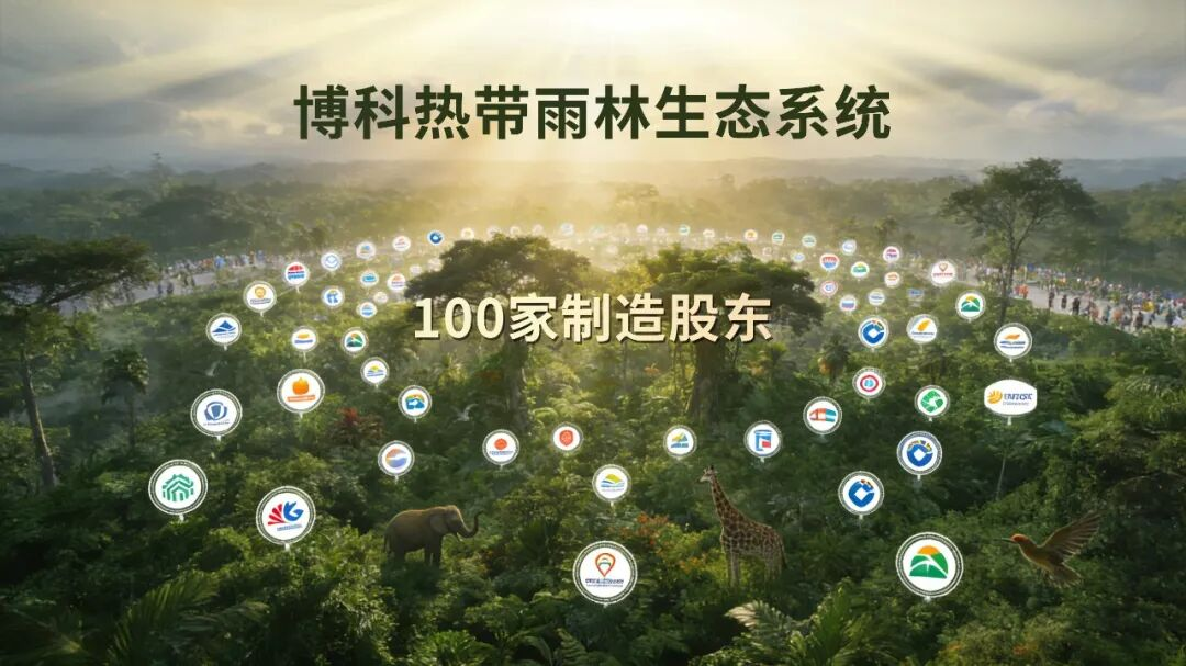 博科共同体进入投资时代，构建热带雨林式产业生态